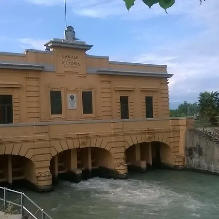 Glicine Nervesa della Battaglia